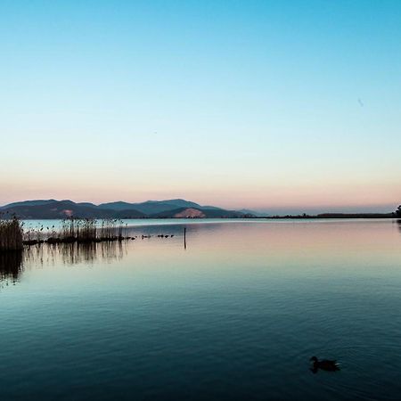 Hotel Butterfly Torre del Lago Puccini Eksteriør billede