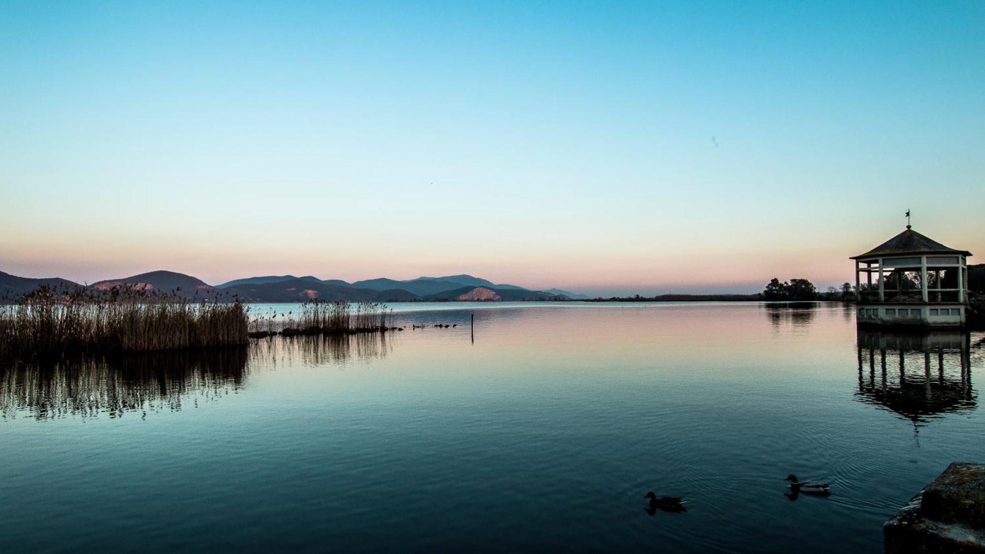Hotel Butterfly Torre del Lago Puccini Eksteriør billede