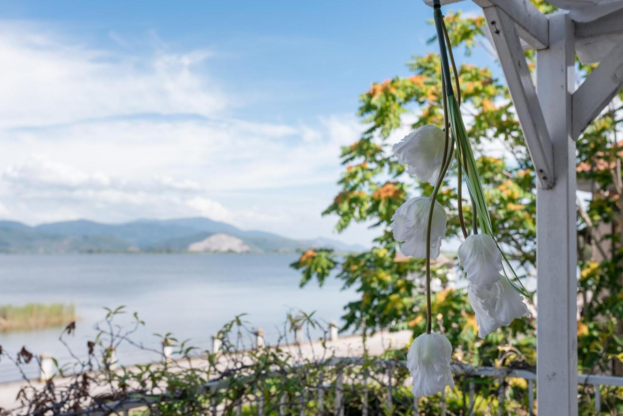 Hotel Butterfly Torre del Lago Puccini Eksteriør billede